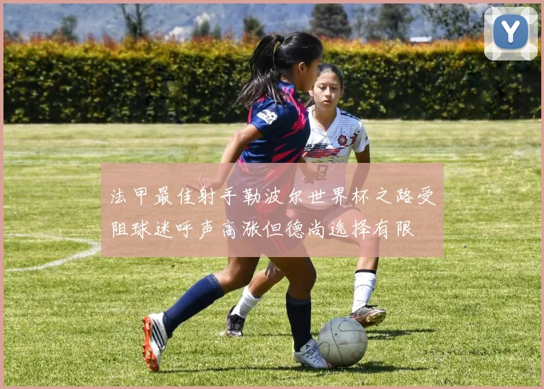 法甲最佳射手勒波尔世界杯之路受阻球迷呼声高涨但德尚选择有限